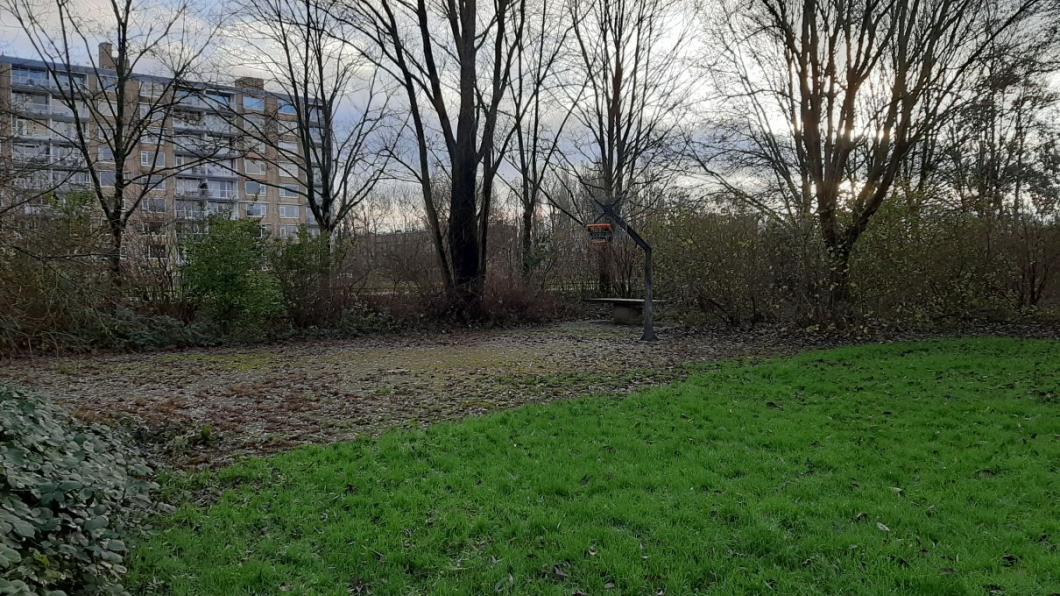 Arsenaal