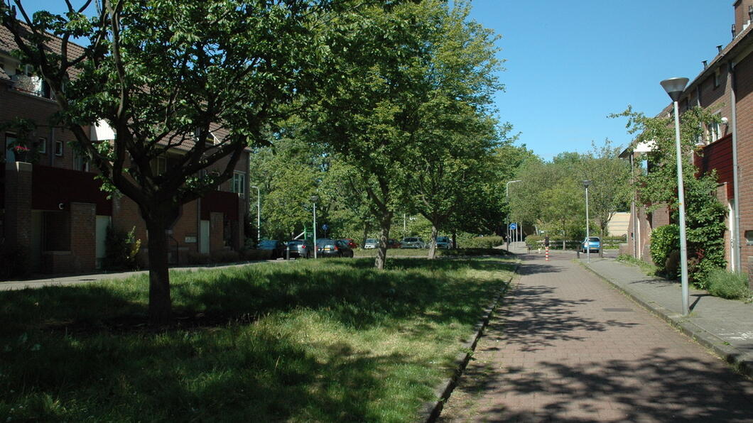 Bomen