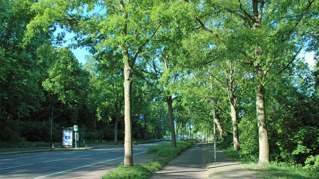 Groen Voorschoten