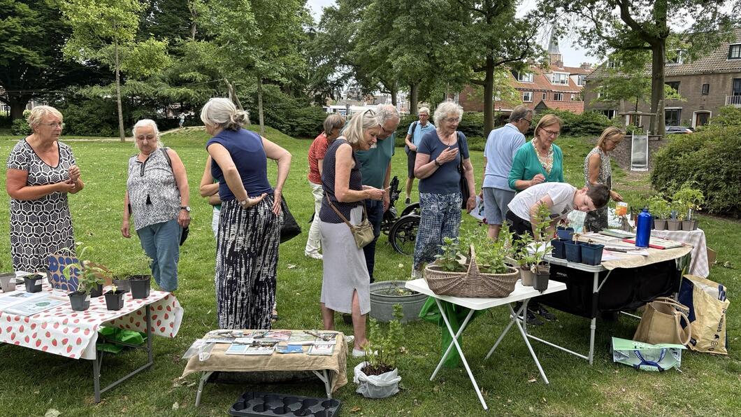 Stekjesmarkt juni 2025