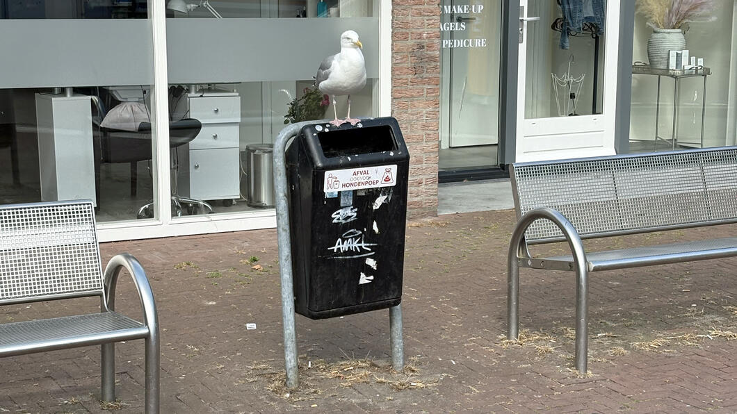 Meeuw zwerfafvalactie juni 2025
