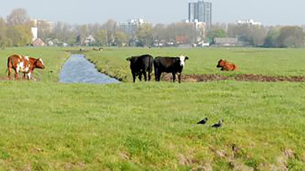 't Vogelhoff t_Vogelhoff