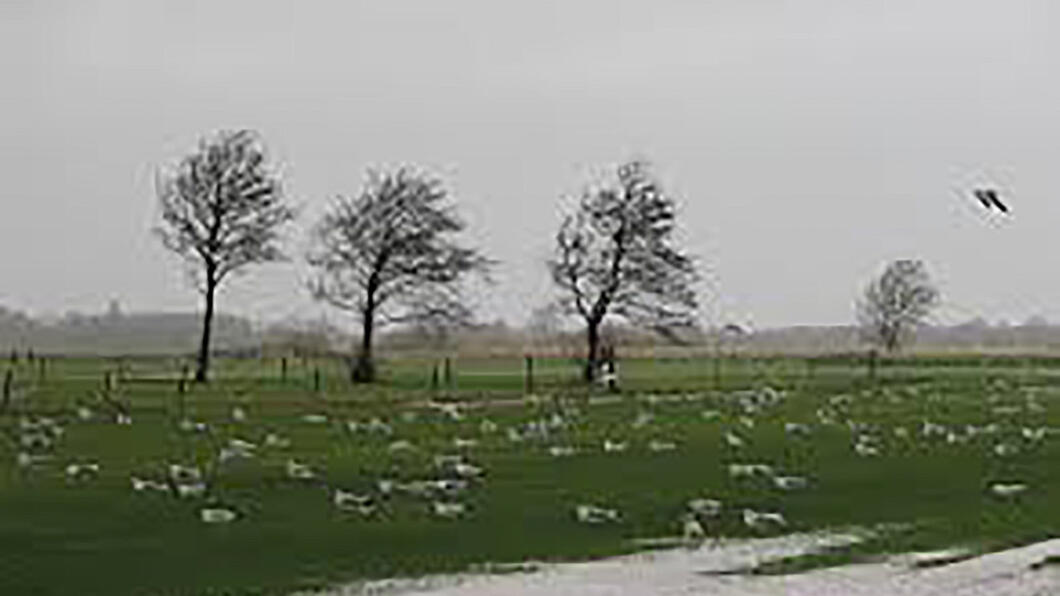 Weersvoorspelling