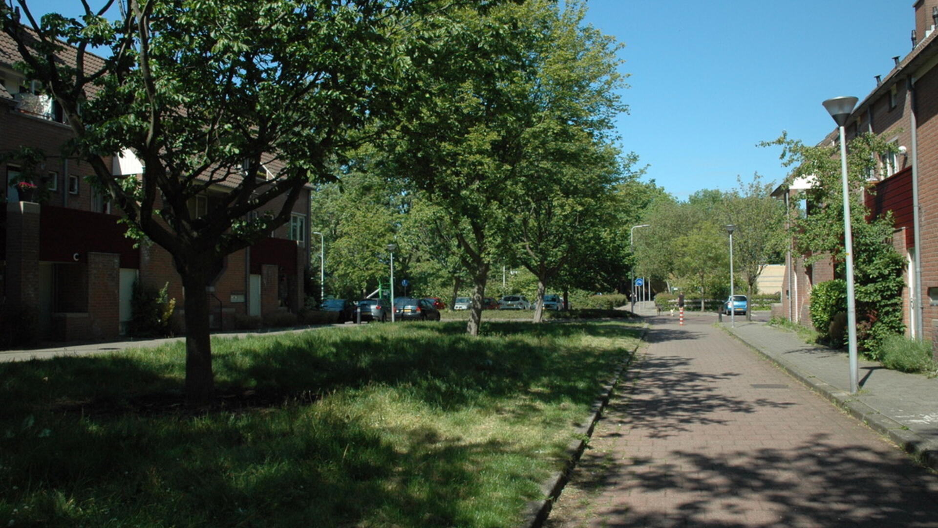 Bomen