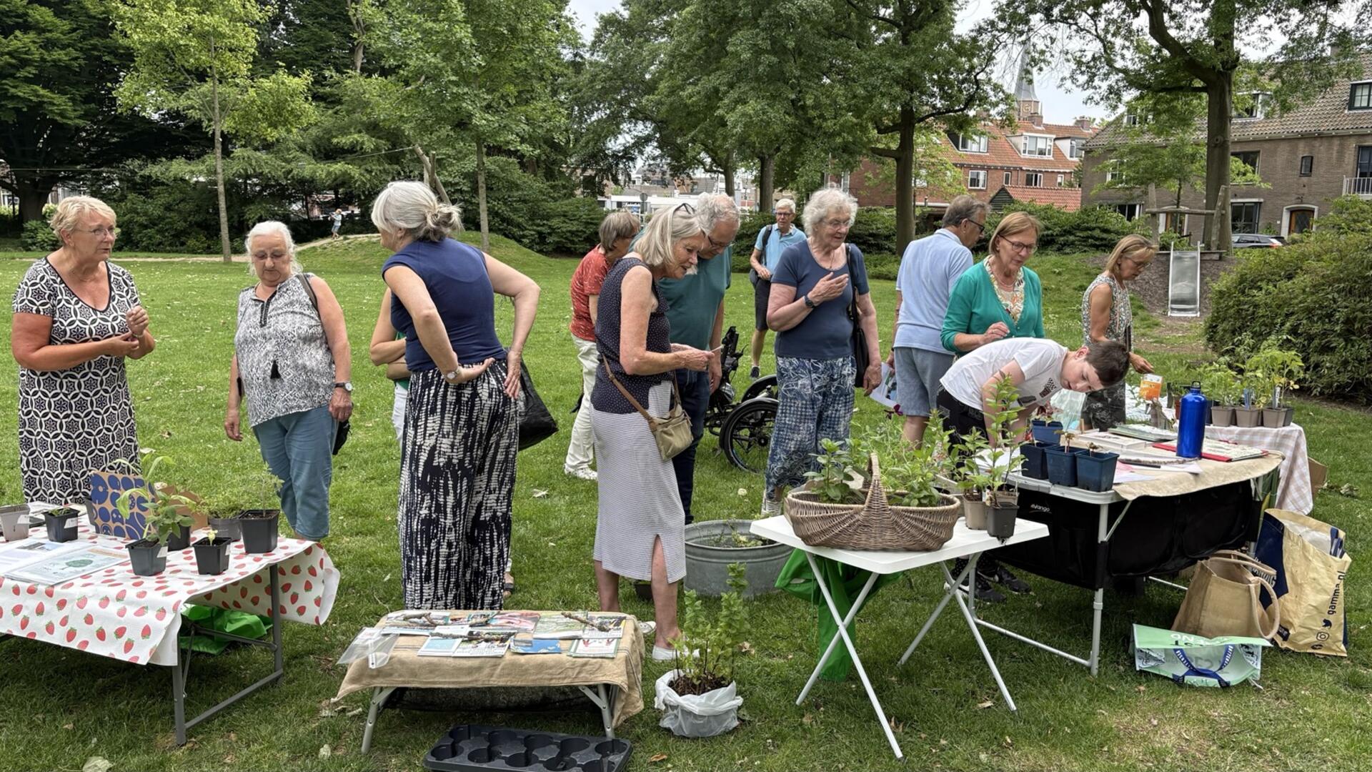 Stekjesmarkt juni 2025