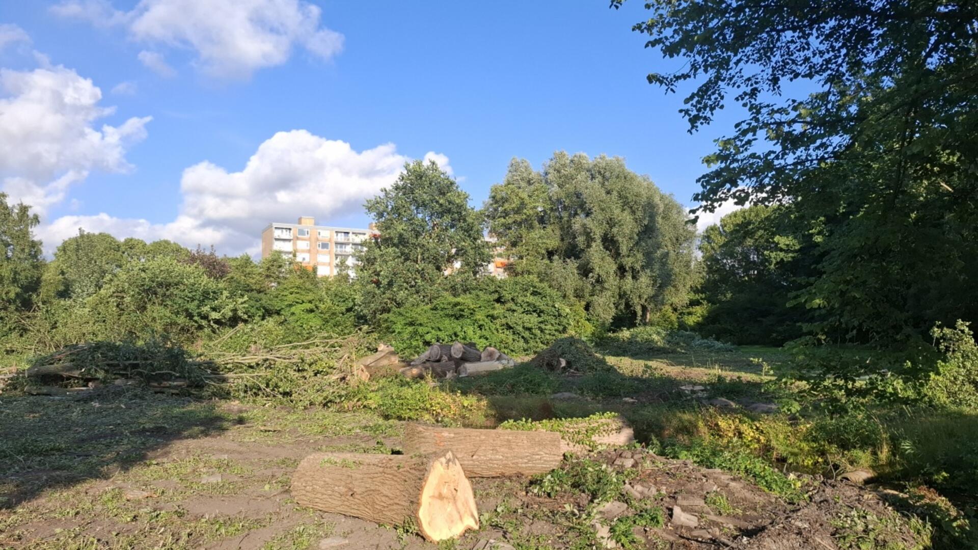 bomen